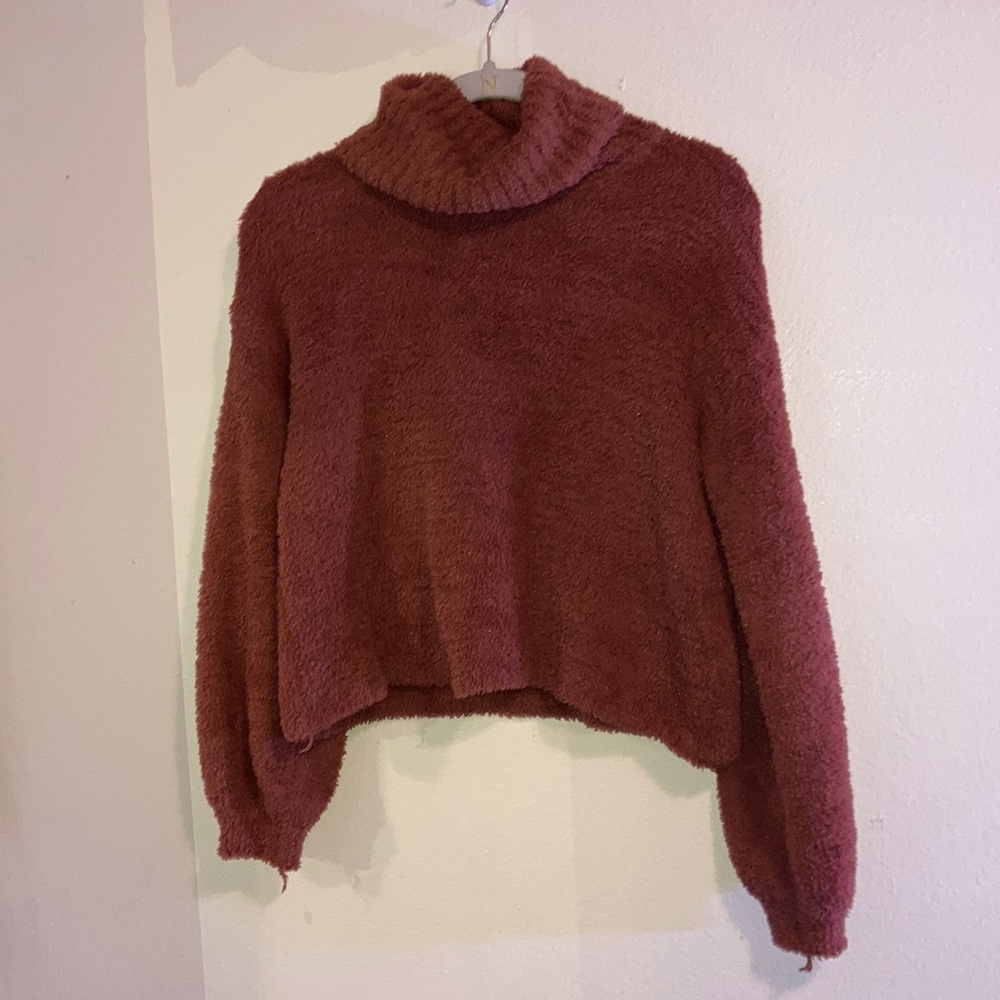 Small Rust Crop Turtleneck